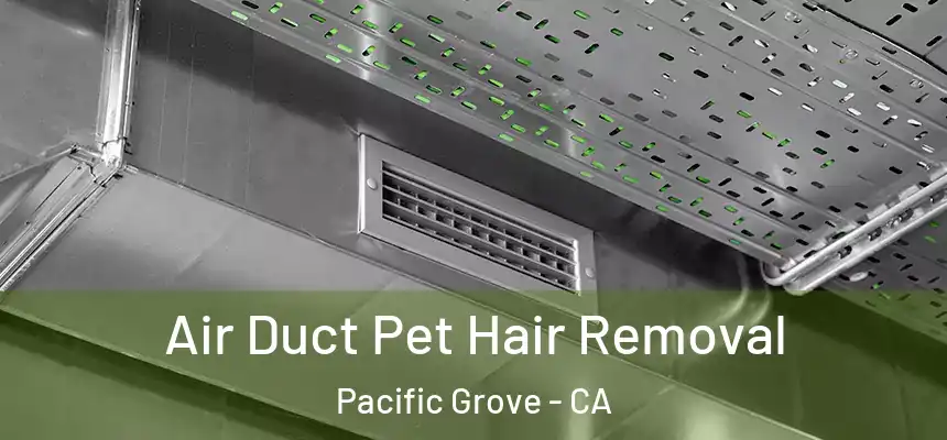  Air Duct Pet Hair Removal Pacific Grove - CA