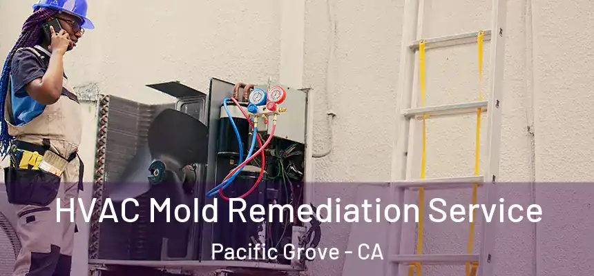  HVAC Mold Remediation Service Pacific Grove - CA