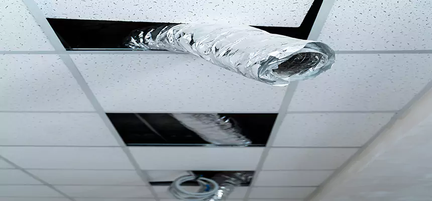 Our Air Duct Pet Hair Removal Services in Pacific Grove, CA