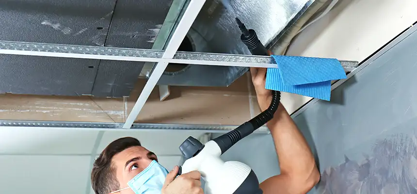 Our Air Duct Rodent Removal Services in Pacific Grove, CA