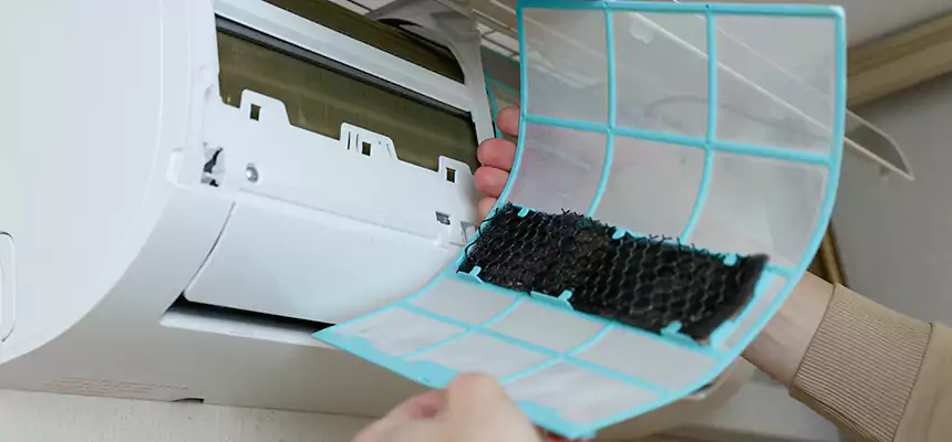 Gentle Ductwork Odor-Control Pet Dander Duct Cleaning in Pacific Grove, CA