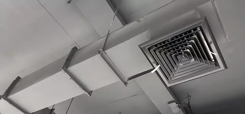 Our Rodent Droppings In Vents Services in Pacific Grove, CA