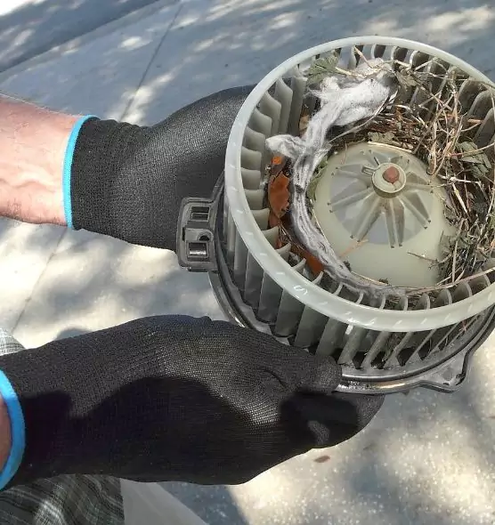 About Air Duct Mice Removal in Pacific Grove, CA