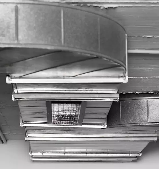 Professional Air Duct Pest Removal in Pacific Grove, CA