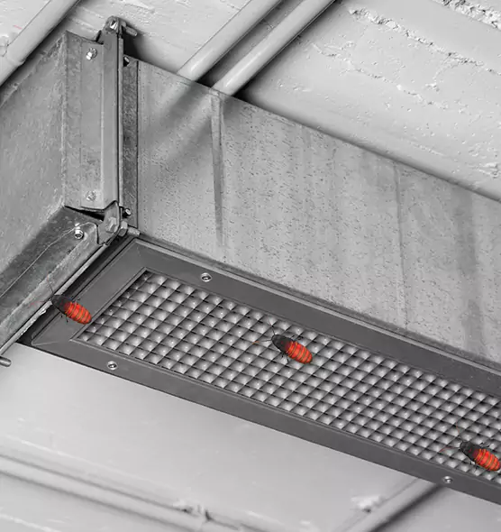 Affordable Insect Removal from Air Ducts in Pacific Grove, CA