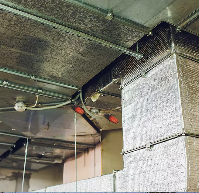 Why Homeowners & Businesses Trust Us in Pacific Grove, CA?