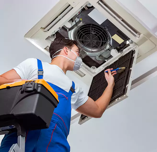 Why Homeowners & Businesses Trust Us in Pacific Grove, CA