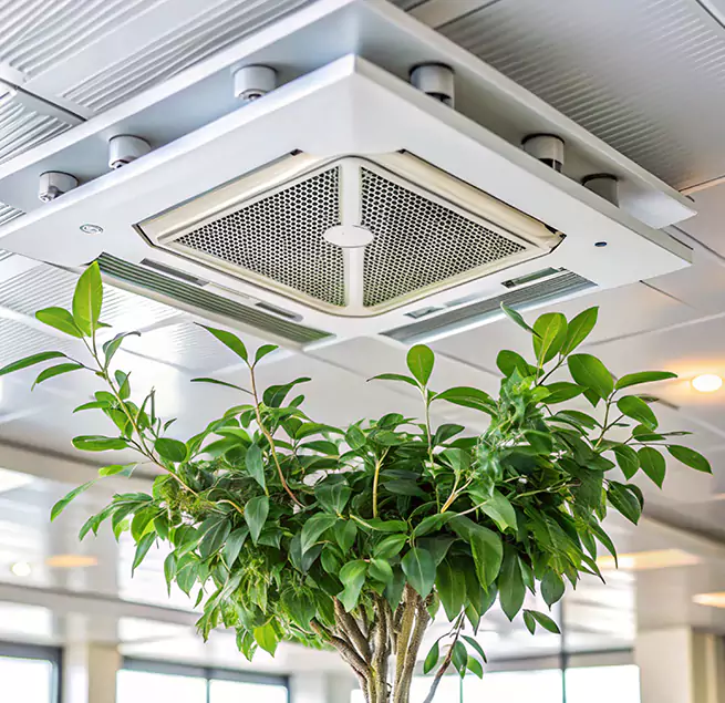 Why Homeowners & Businesses Trust Us in Pacific Grove, CA